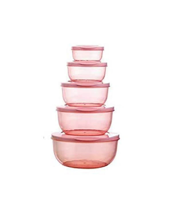 Plastic Container Pack Of 5 Pieces