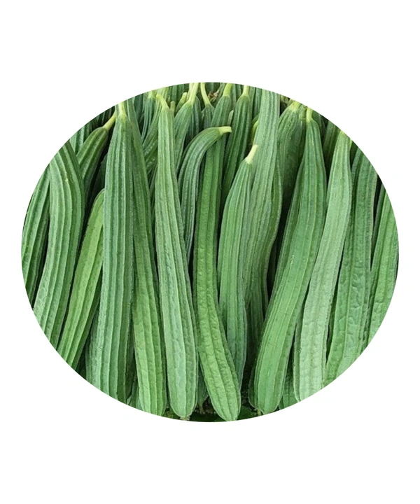 Ridge Gourd ( 500grams)Turai ಹೀರೆಕಾಯಿ Taroi