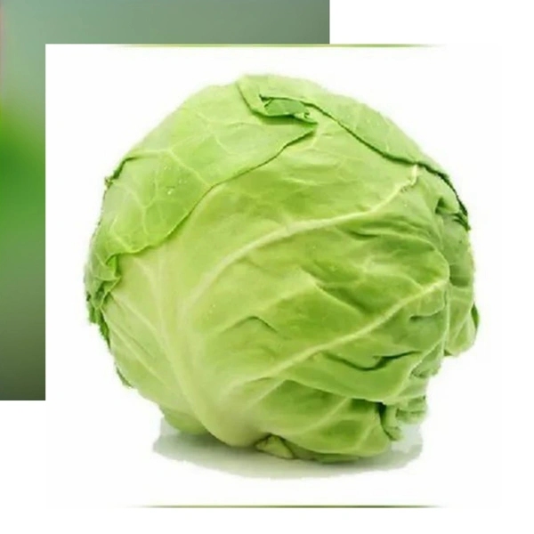 Green Cabbage 600g. to 800g. (Gobhi)