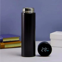 Water Bottle With LED Temperature Display