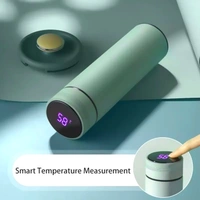 Water Bottle With LED Temperature Display