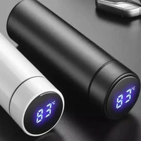 Water Bottle With LED Temperature Display