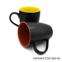 Ceramic Tea/Coffee Mugs ( 320 ml ) (Pack of 2)
