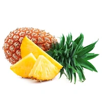 Pineapple (Approx. 900g - 1.2 kg) Aanaras - Golden Tainoi, 2 Piece