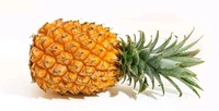 Pineapple (Approx. 900g - 1.2 kg) Aanaras - Golden Tainoi, 2 Piece