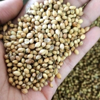 Dhaniya (Kottambari Beeja): 200 gms