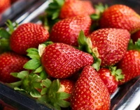 Strawberry 200 grams