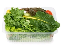 Hydroponic Salad Mix with Cucumber