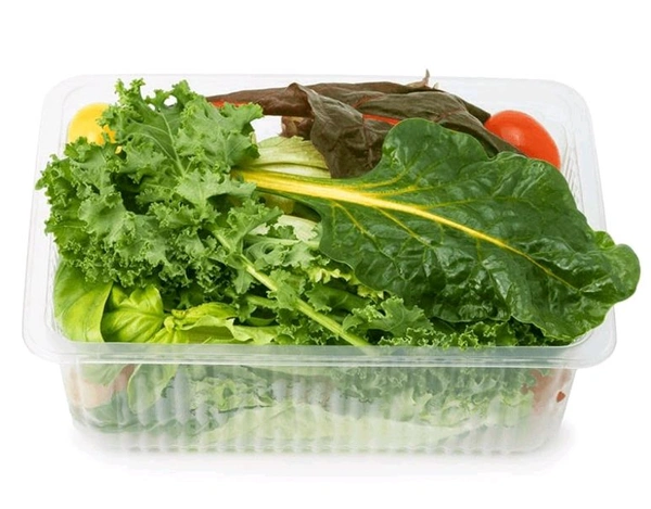 Hydroponic Salad Mix with Cucumber