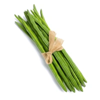 Drumstick 2 Piece ( Shahjan) Sajuwan