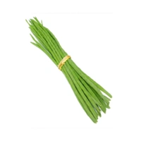 Drumstick 2 Piece ( Shahjan) Sajuwan