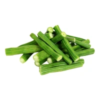 Drumstick 2 Piece ( Shahjan) Sajuwan