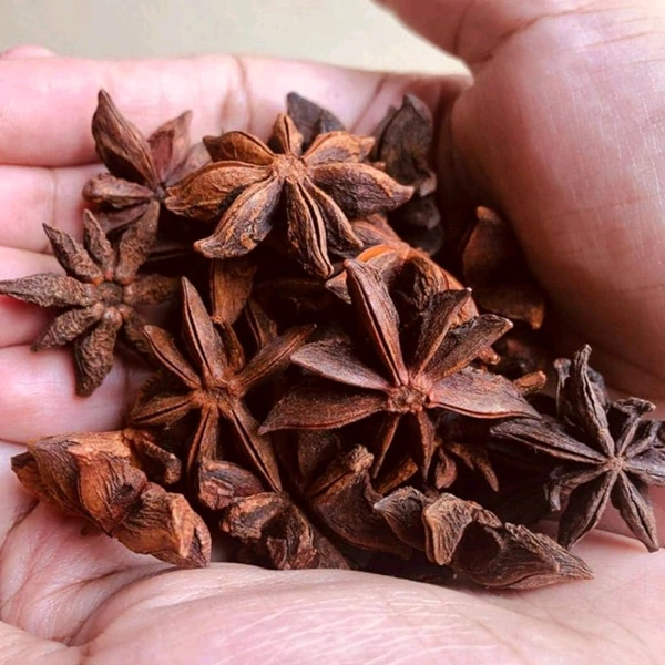  Star Anise (Badiyan): 100 gms