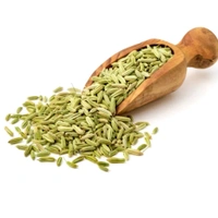 Badishep (Sompu): 200 gms