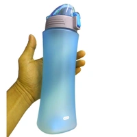 Nice Cool Water Bottle 600 Ml ( Pack Of 1) - Hippie Blue