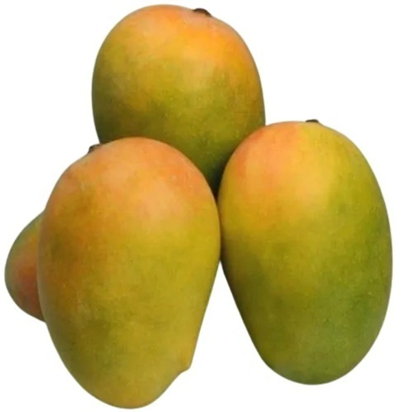 Mango Kesar 1 kg