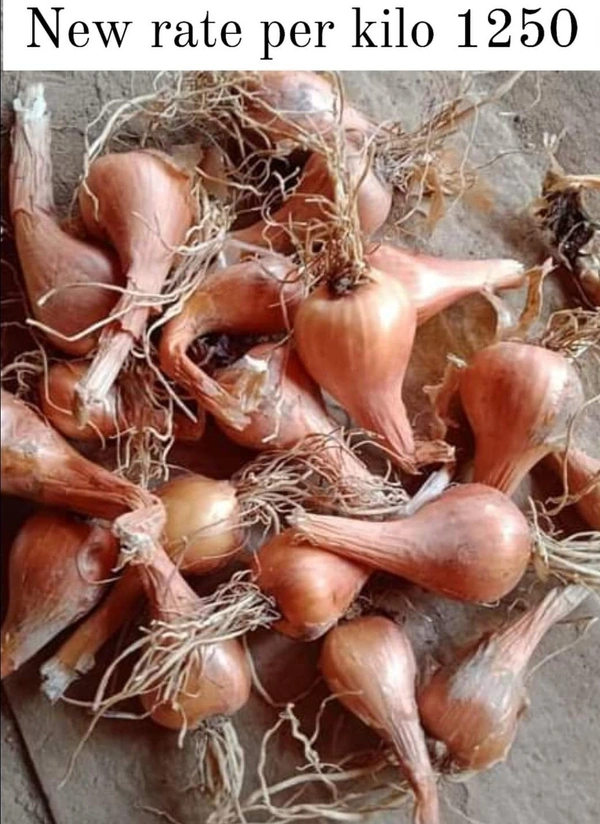 Filpkart e Store Kashmir Praan - Web Orange, 1