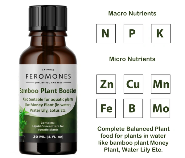 Feromones Lucky Bamboo Plant Fertilizer - Liquid Fertilizer for Aquatic Plants in Home Garden - 30 ML