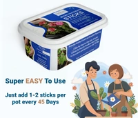 Feromones Micro Nutrient Fertilizer Sticks for Plants - Easy Micronutrient Fertilizer for Plants in Home Garden - 100 sticks