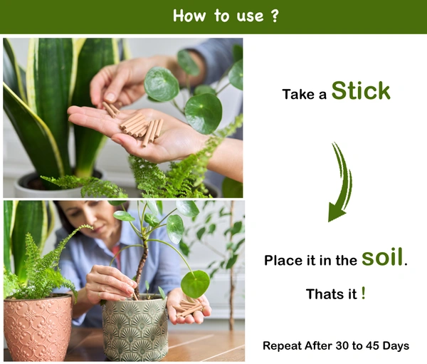 Feromones Pant Food Sticks for Plants - Fertilizer Sticks For All Types Of Indoor And Outdoor Plants In Home Garden  - 100 sticks