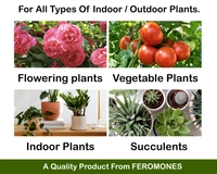 Feromones Pant Food Sticks for Plants - Fertilizer Sticks For All Types Of Indoor And Outdoor Plants In Home Garden  - 100 sticks