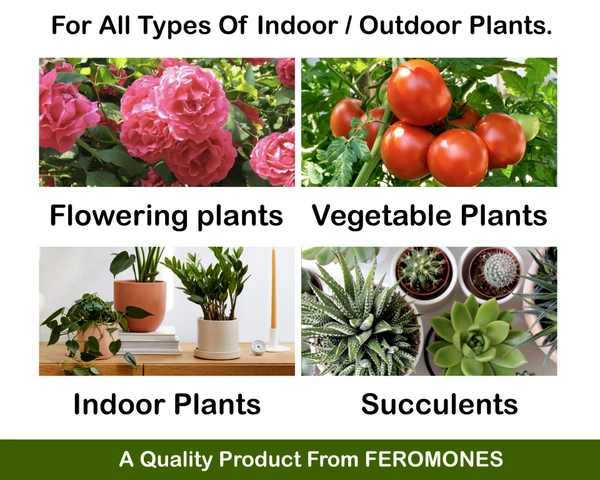 Feromones Pant Food Sticks for Plants - Fertilizer Sticks For All Types Of Indoor And Outdoor Plants In Home Garden  - 100 sticks
