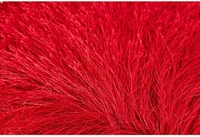 Personalized Fur Photo Cushion - Red Colour