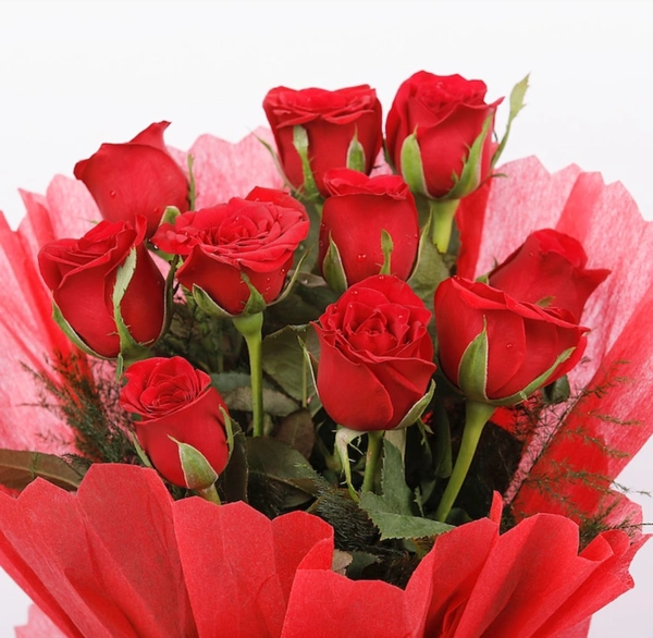 Red Roses In Red Paper Packing