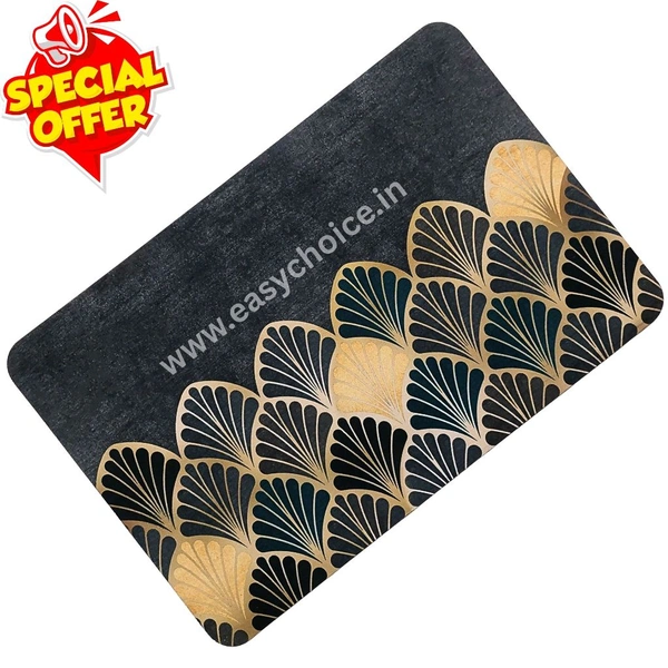 High Quality Entrance Luxury Anti Slip Water Absorbing Mat PM26