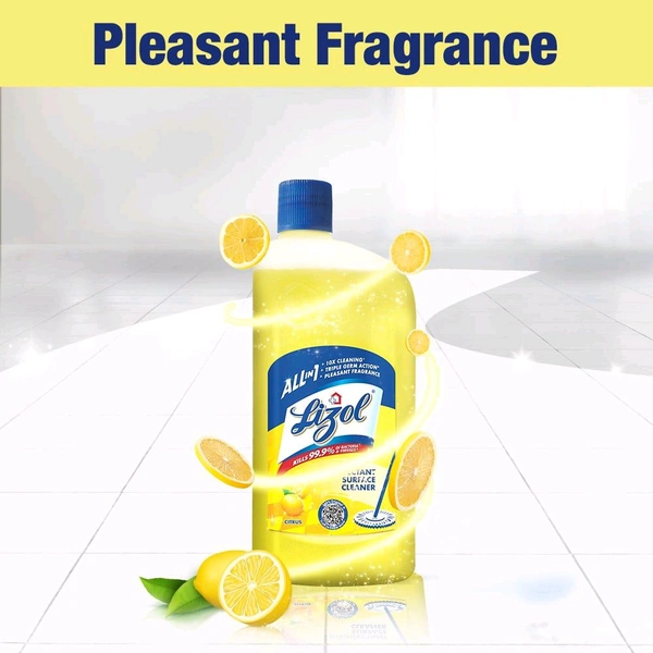 Lizol Disinfectant Surface & Floor Cleaner (Citrus) 500 ml