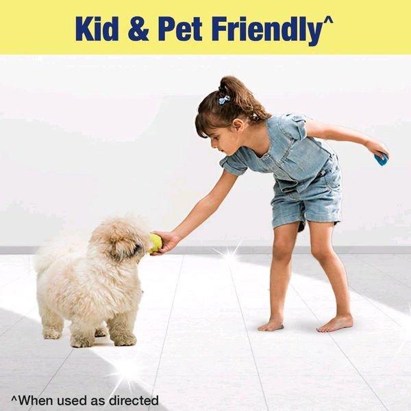 Lizol Disinfectant Surface & Floor Cleaner (Citrus) 500 ml