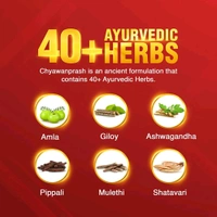 Dabur Chyawanprash 3x Immunity Action 500g