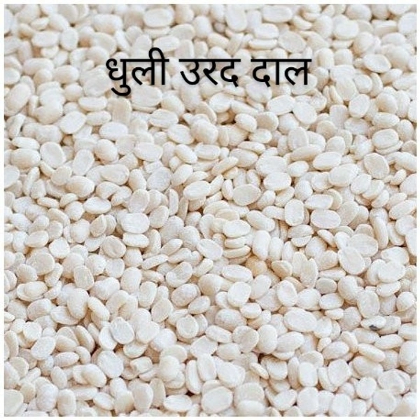 Dhuli Urad Dal (धुली उरद दाल सफेद 500g) - 500g