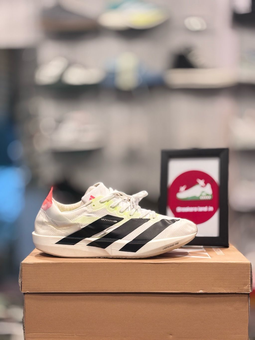 Running - Sneakers Land assam