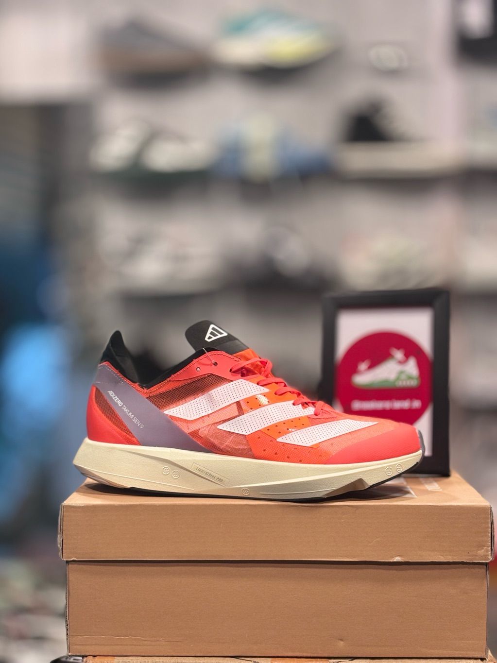 Running - Sneakers Land assam
