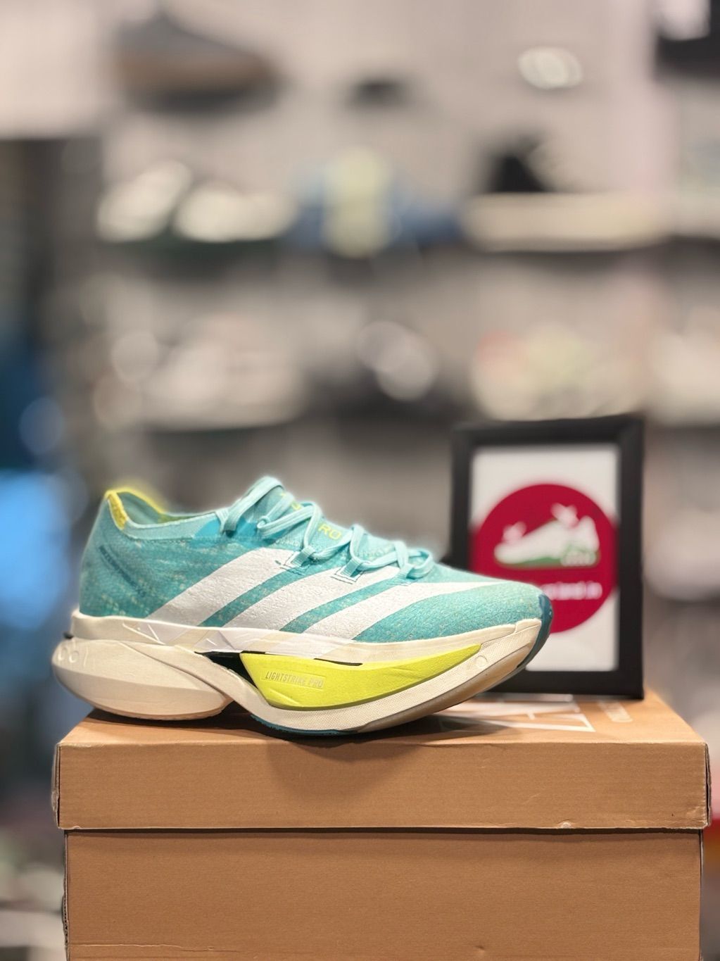 Running - Sneakers Land assam
