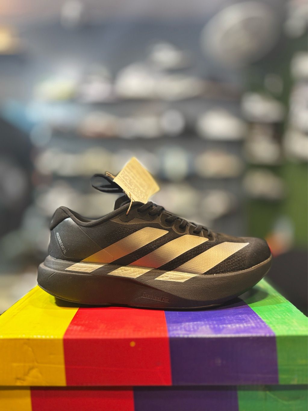 Ａssam商品です Running - Sneakers Land assam
