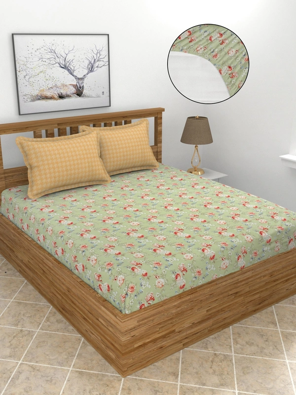 MORADO Glace Cotton King Size Bedsheet with 2 Pillow Covers with Fitted Bedsheet (108x108, Inches) - 108x108 Inches, Sprout