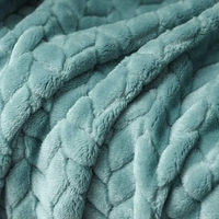 Morado MORADO 190 GSM Flannel Super Soft Warm Single Blanket for Winters - 60x90 Inches, Sea Green - 60x90inches, Asparagus