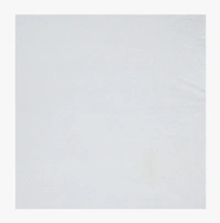 MORADO Water Resistant Terry Cotton Queen/King Size Elastic Fitted Mattress Protector (60x78x12 inches - Fits Up to 12 inches Mattress), White - 60x78x12 Inches, White