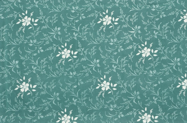 MORADO Glace Cotton King Size Bedsheet with 2 Pillow Covers with Frill (108x108, Inches) - 108x108 Inches, Green