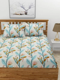 MORADO Premium Glace Cotton Double Bedsheet with 2 King Size Pillow Covers (90x100 Inches) - Green