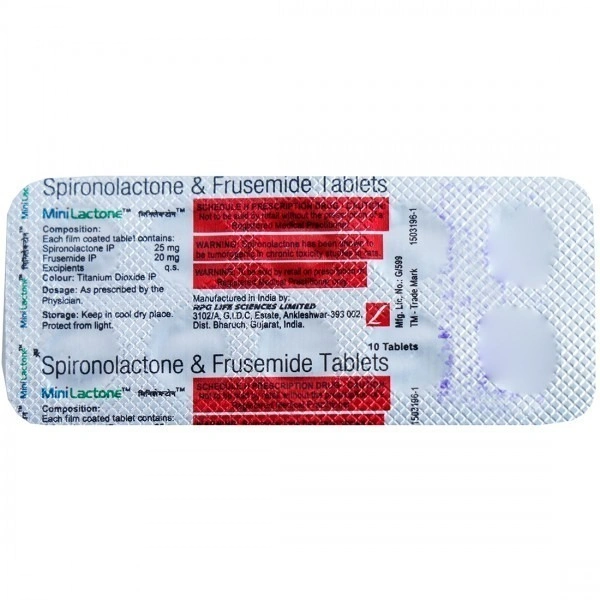RPG LIFE SCIENCES LTD Mini Lacton Tab (10 Tab)