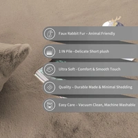 Luxe Home International Carpet Super Soft Anti Skid Rabbit Fur Area Rugs for Bedroom, Living-Room, Office, Hotels - 6X9, Taupe