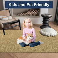 Luxe Home International Ultra Soft Microfiber Area Rug - Non-Slip, Carpet for Living Room, Bedroom, and Home Decor - 6X9, Anti Gold