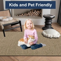 Luxe Home International Ultra Soft Microfiber Area Rug - Non-Slip, Carpet for Living Room, Bedroom, and Home Decor - 6X9, Beige