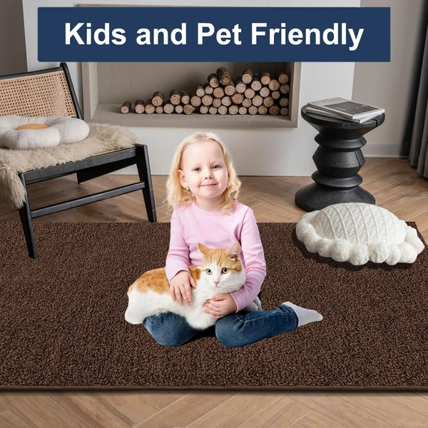 Luxe Home International Ultra Soft Microfiber Area Rug - Non-Slip, Carpet for Living Room, Bedroom, and Home Decor - 6X9, Coffee