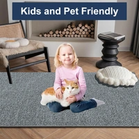 Luxe Home International Ultra Soft Microfiber Area Rug - Non-Slip, Carpet for Living Room, Bedroom, and Home Decor - 6X9, Silver