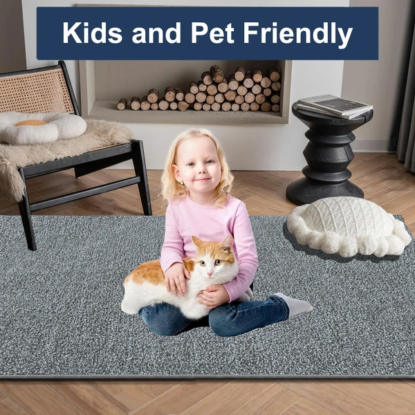 Luxe Home International Ultra Soft Microfiber Area Rug - Non-Slip, Carpet for Living Room, Bedroom, and Home Decor - 6X9, Silver