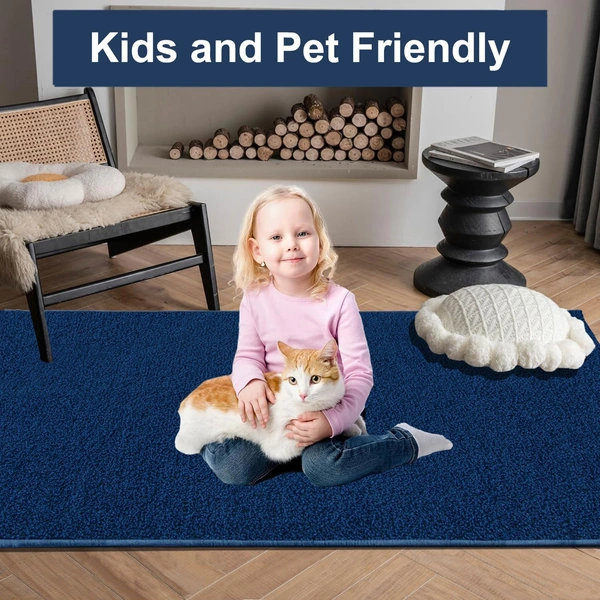 Luxe Home International Ultra Soft Microfiber Area Rug - Non-Slip, Carpet for Living Room, Bedroom, and Home Decor - 6X9, Teal